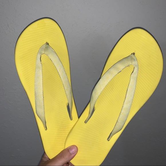 allbirds flip flops